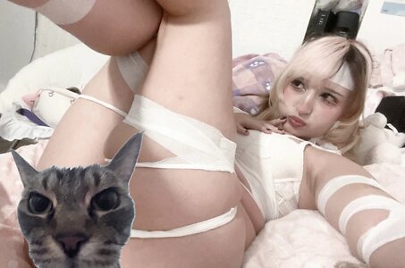 purrfectmeowiee leaked photo #22