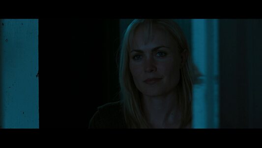 Radha Mitchell leaked photo #9