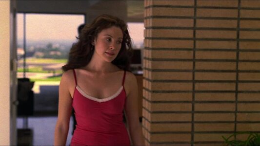 Reiko Aylesworth Nude Leaked Photo #7