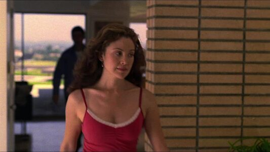 Reiko Aylesworth Nude Leaked Photo #18
