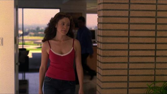 Reiko Aylesworth Nude Leaked Photo #20
