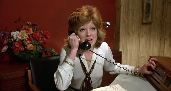 Rula Lenska leaked photo #9