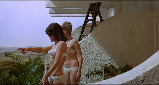 Sally Geeson leaked photo #16