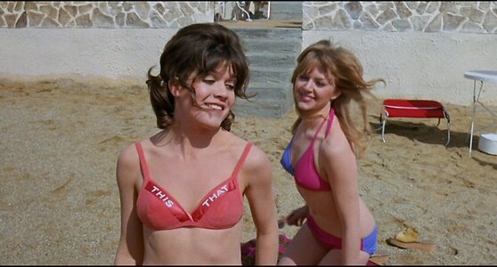Sally Geeson leaked photo #46
