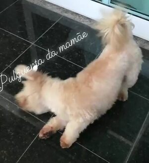 Sara Gabriela leaked photo #63