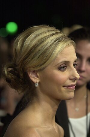 Sarah Michelle Gellar Nude Leaked Photo #104