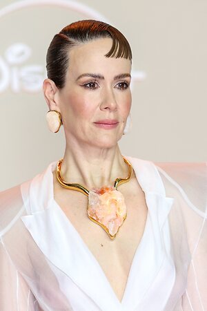 Sarah Paulson leaked photo #27