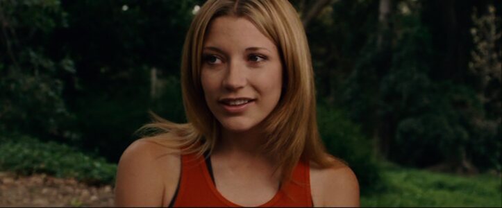 Sarah Roemer Nude Leaked Photo #12