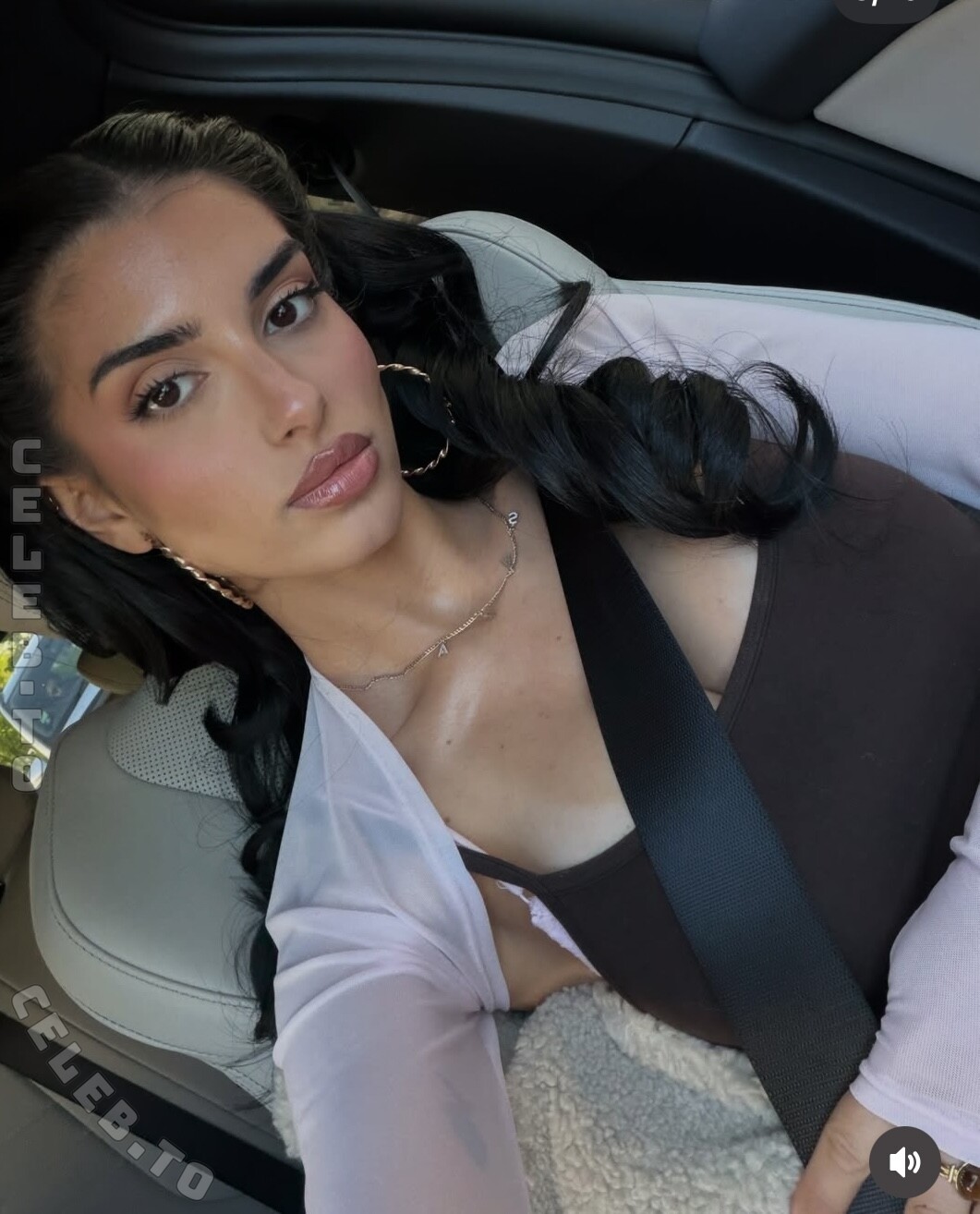 Sararslan photo