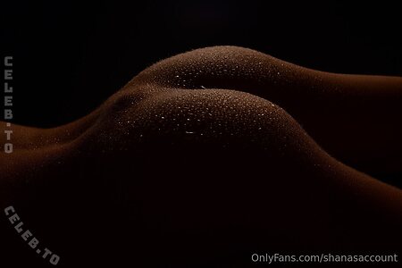 Shana Joyce Paar Nude Leaked Photo #6