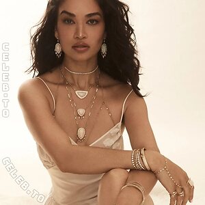 Shanina Shaik photo