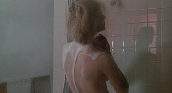 Shannon Tweed leaked photo #16