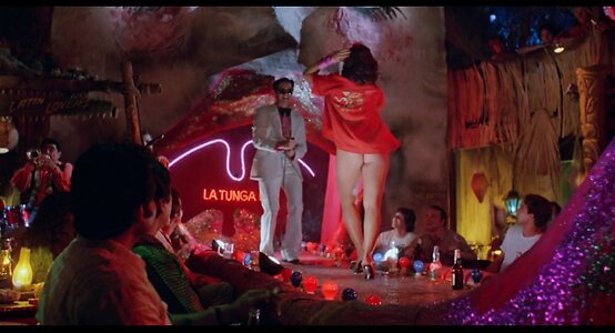 Shelley Long leaked photo #2