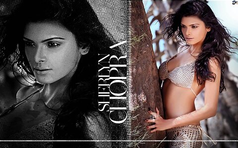 Sherlyn Chopra leaked photo #134