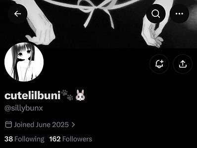 sillybunx