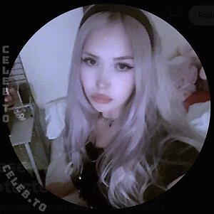 silverhairedbunny photo