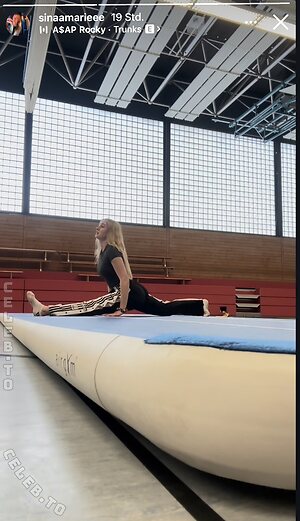 Sina-Marie Reen Nude Leaked Photo #6