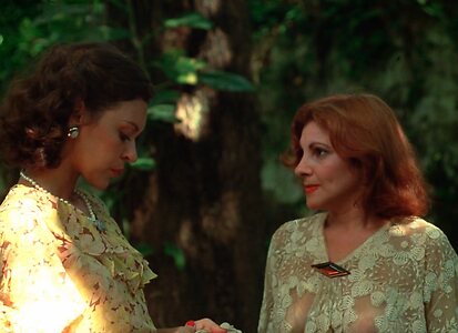 Sonia Braga leaked photo #32