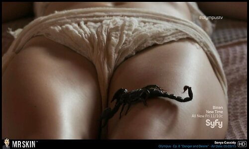 Sonya Cassidy leaked photo #33