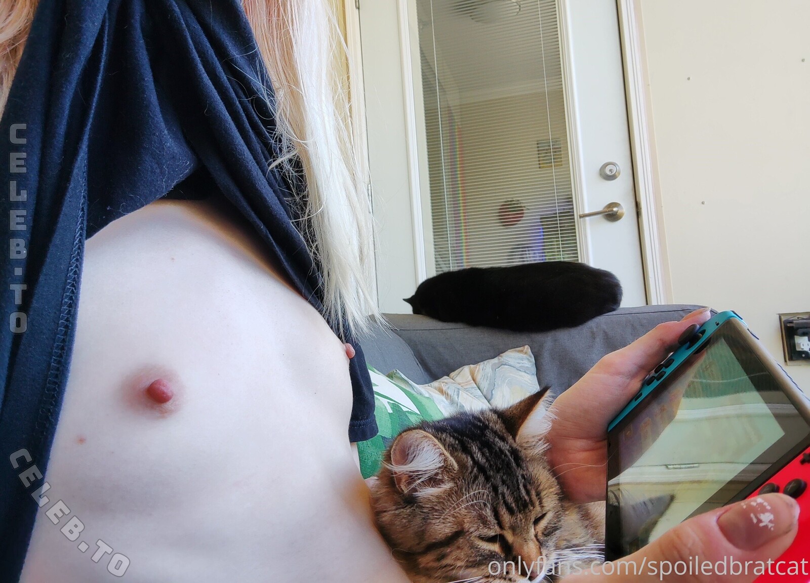 spoiledbratcat photo