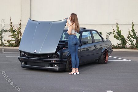 steffidnt