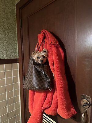 Stella Hudgens leaked photo #537