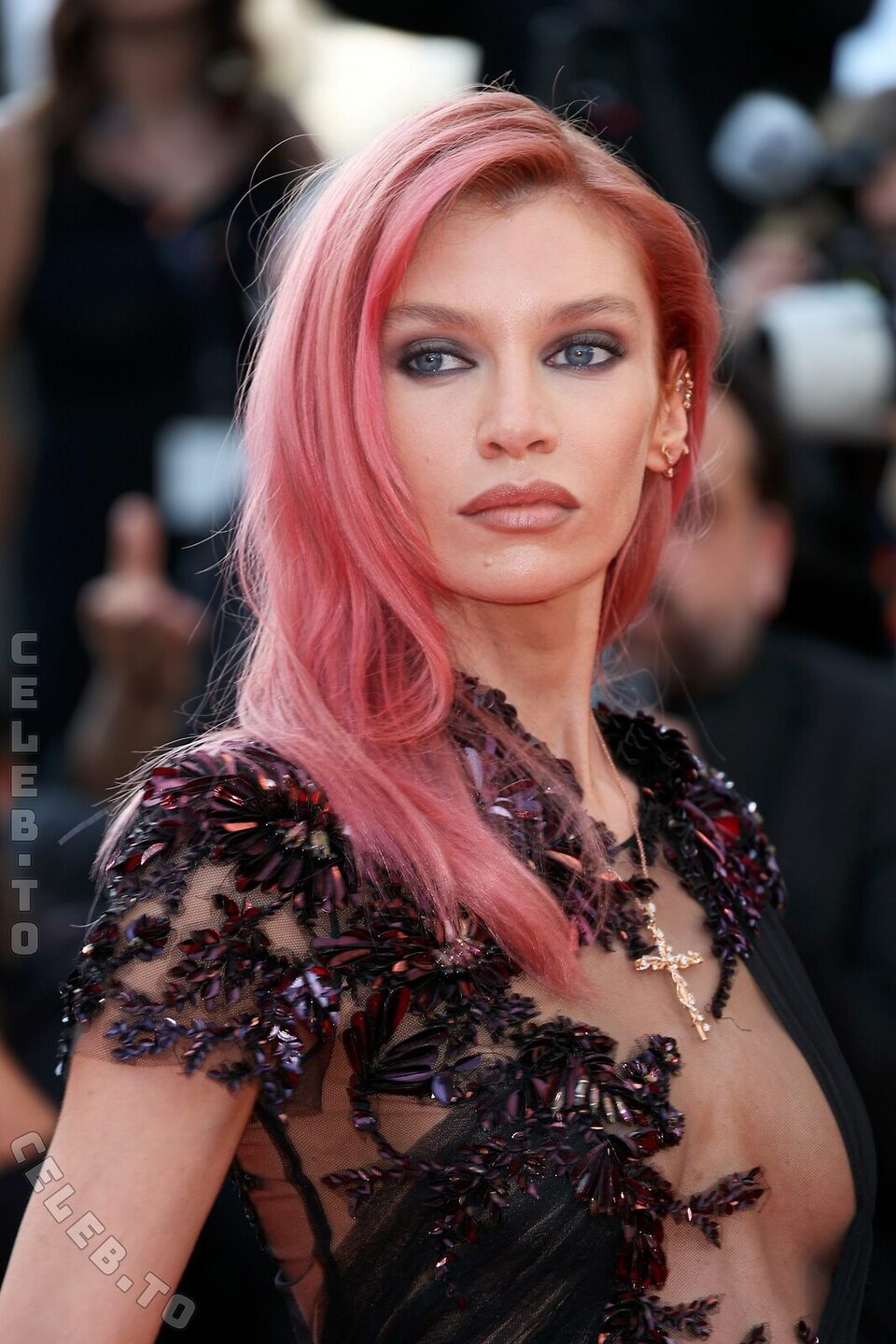 Stella Maxwell Nude Leaked Photos
