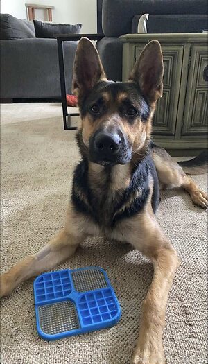 Stephanie Roozu Nude Leaked Photo #254