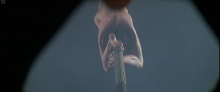 Susan Backlinie Nude Leaked Photo #15