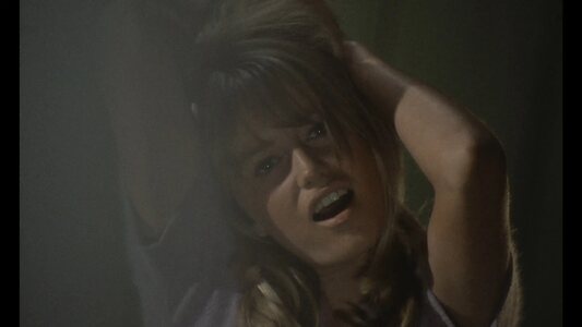 Susan George leaked photo #29
