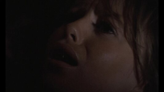 Susan George leaked photo #32