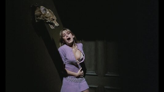Susan George leaked photo #37