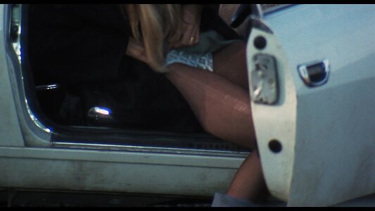 Susan George leaked photo #72