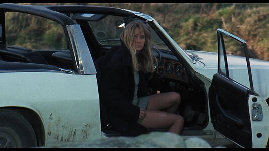 Susan George leaked photo #73