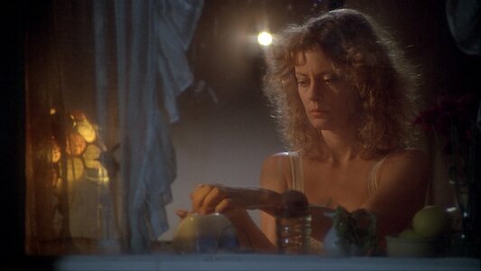 Susan Sarandon leaked photo #11