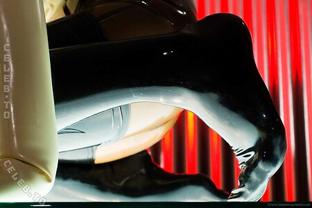 Susan Wayland photo