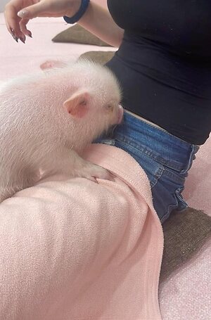 Sycho-Girl leaked photo #7