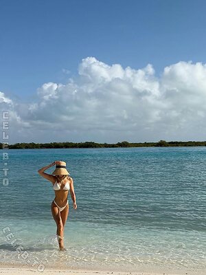 Sylvie Meis Nude Photos