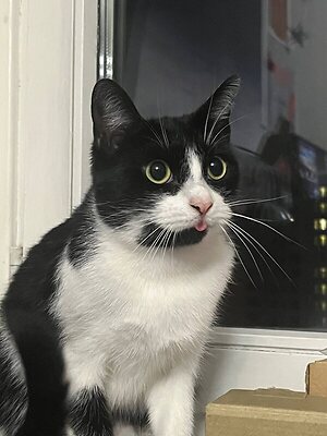 Takeomeow leaked photo #21