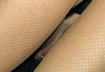 Tamara Beckwith leaked photo #14