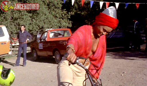 Tamara Dobson leaked photo #4