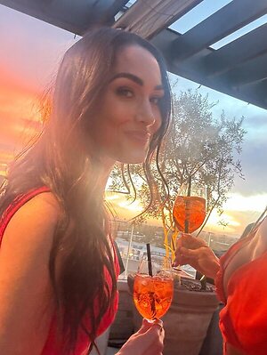 The Bella Twins: Nikki Bella &amp; Brie Bella leaked photo #11