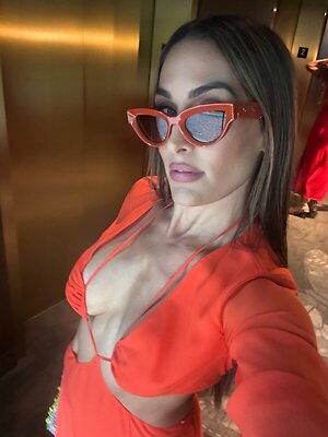 The Bella Twins: Nikki Bella &amp; Brie Bella leaked photo #13