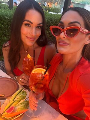 The Bella Twins: Nikki Bella &amp; Brie Bella leaked photo #14