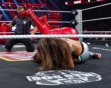 The Bella Twins: Nikki Bella & Brie Bella