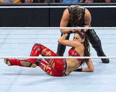 The Bella Twins: Nikki Bella &amp; Brie Bella leaked photo #36