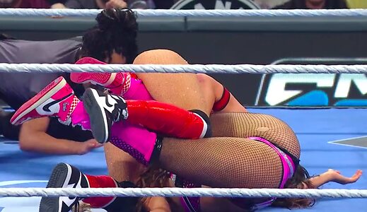 The Bella Twins: Nikki Bella &amp; Brie Bella leaked photo #49