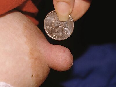The Big Nipples Nude Leaked Photo #39