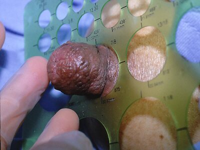 The Big Nipples Nude Leaked Photo #44