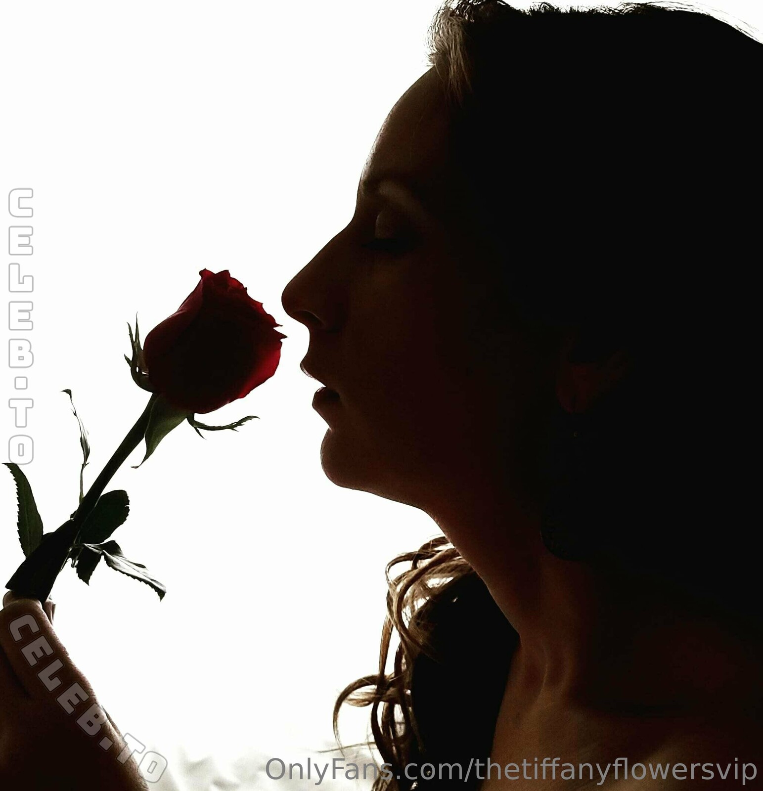Tiffany Flowers photo